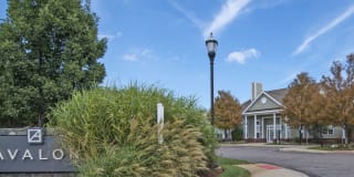 Avalon at the Hingham Shipyard Gallery 20