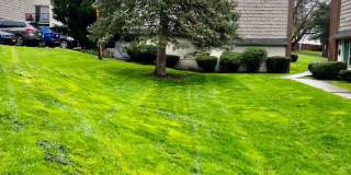 Large Townhouse Community in Great Location Gallery 1