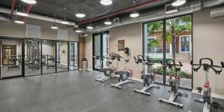 AMLI Dadeland Gallery 12