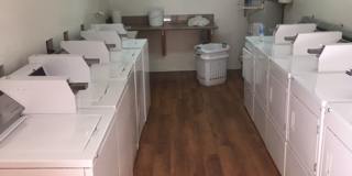 10227 Mason Ave. Gallery 8