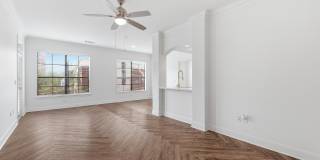 Jackson Hill Gallery 6