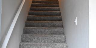 Ivy Plains at Brooks Ivy Plains at Brooks Gallery 16