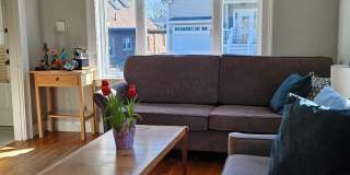89 Sherwood Road Gallery 5