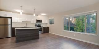 Tamasha Apartments Gallery 4