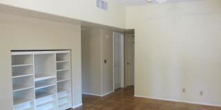 3777 N Camino Leamaria Gallery 6