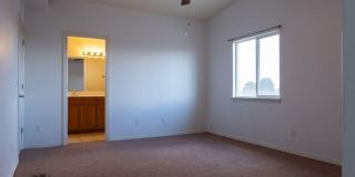 10736 Canyon Sage Drive Gallery 15