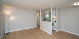 805 Dahlia Gallery 18