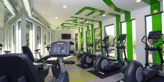 Verde Apartments Verde Apartments Gallery 8