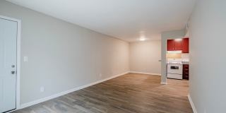 Northlake Gallery 22