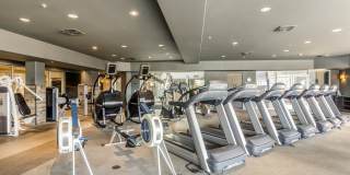 Bell Flatirons Gallery 5