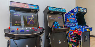 Vineyards Gallery 34