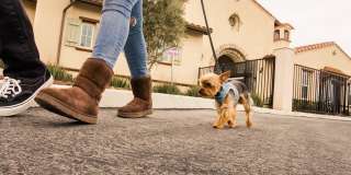 Arrive at Rancho Belago Gallery 38