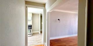 17 Elwood Place Gallery 4