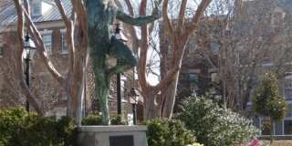 2050 Jamieson Ave Gallery 39