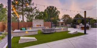 Vine at Panorama Gallery 27