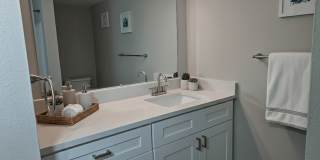 Palms of Clearwater Gallery 39