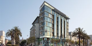 38 Dolores 38 Dolores Gallery 1