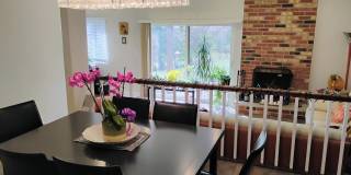 3061 Pheasant Creek Drive Gallery 16