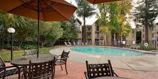 Atrium Downtown Gallery 13