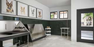 Corsa at Estero Crossing Gallery 7