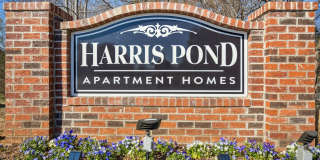 Harris Pond Gallery 39