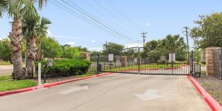 Bowie Garden Gallery 11