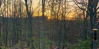 411 Lundy Court Gallery 34