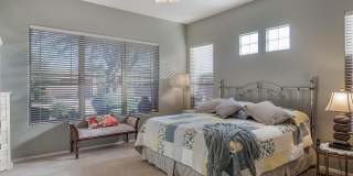 9562 E Chuckwagon Lane Gallery 18