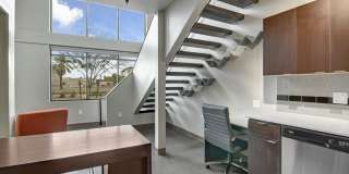 Proxy 333 Gallery 11