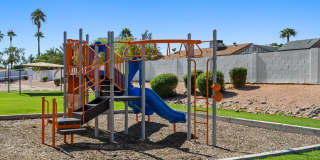 Cielo on Gilbert Gallery 33