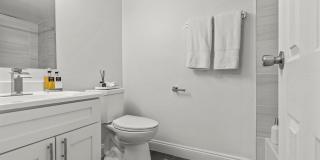 Chestnut Hill Village Gallery 7