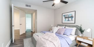 Del Sol Apartments Gallery 4