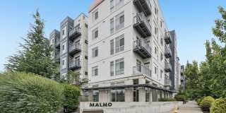 Malmo Gallery 2