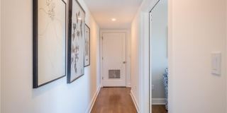 201 Main Street Gallery 20