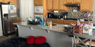 9420 Rainbow Falls Way Gallery 1