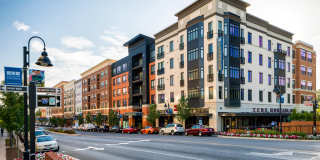 Cadence at Crown Apartments Gallery 35