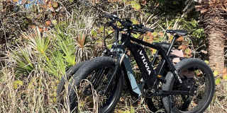 333 THE ESPLANADE N Gallery 43