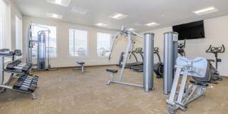 Polaris Peak Gallery 49