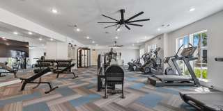 Wilton Palm Coast Gallery 15