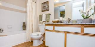 Stone Mist Gallery 4