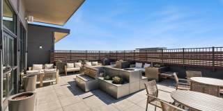 Wellory Living Gallery 37
