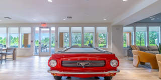 Lake Saunders Reserve Gallery 8