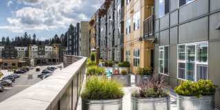 The Villas at Beardslee Gallery 16