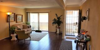 Beautiful Second Floor Condo in Great Area! Gallery 4