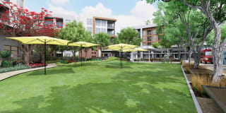 Broadstone Archive Gallery 3