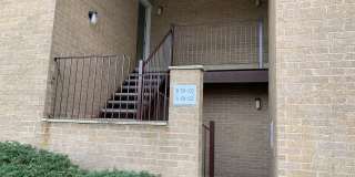 Edgewater East Gallery 18