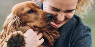 The Fox & The Grouse Gallery 64