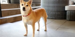 Artista 55 Apartments Gallery 10