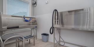 Ariza Corpus South Gallery 12