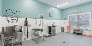 Summerlin Ridge Apartments Gallery 20